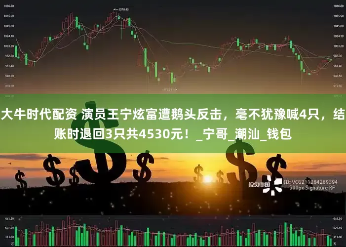 大牛时代配资 演员王宁炫富遭鹅头反击，毫不犹豫喊4只，结账时退回3只共4530元！_宁哥_潮汕_钱包